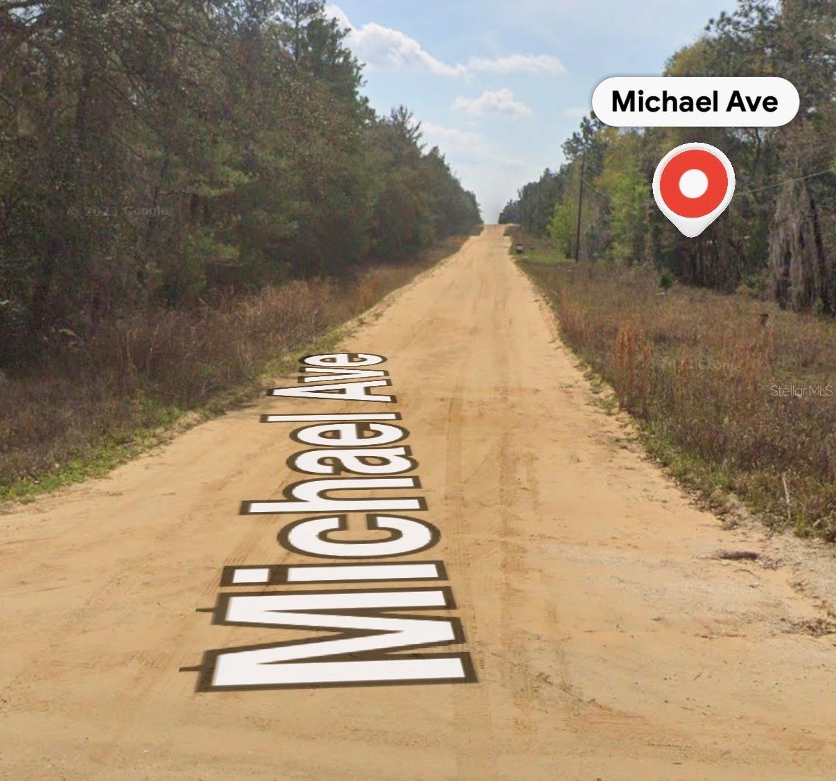 MICHAEL AVE photo 2