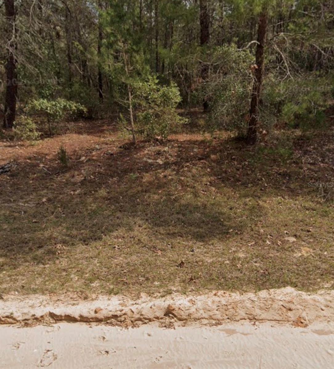 MICHAEL AVE photo 3