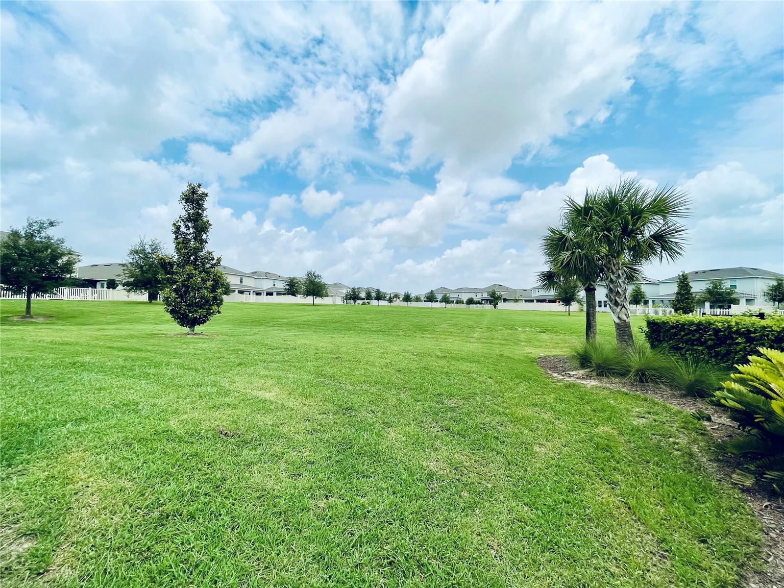 367 LEMONGRASS RD photo 3