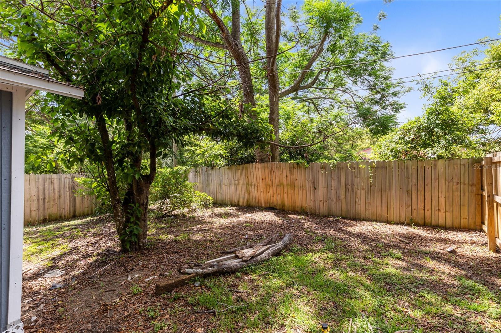 3432 HARRY ST photo 4