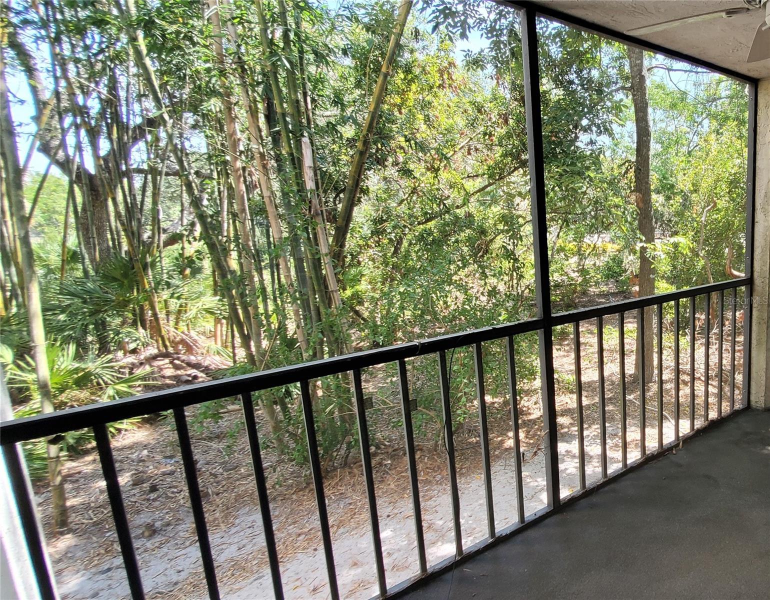 2756 ORCHID OAKS DR #105 A photo 2