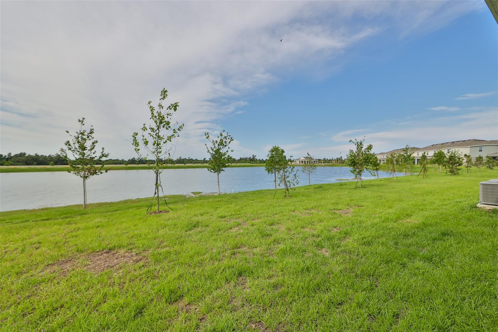 233 MANGROVE SHADE CIR photo 4
