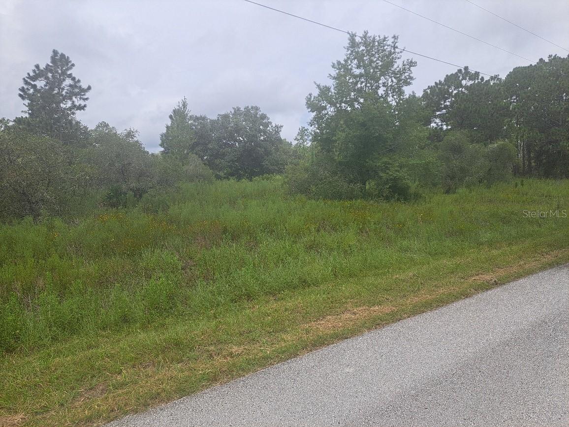 00 SE 125TH CT photo 4