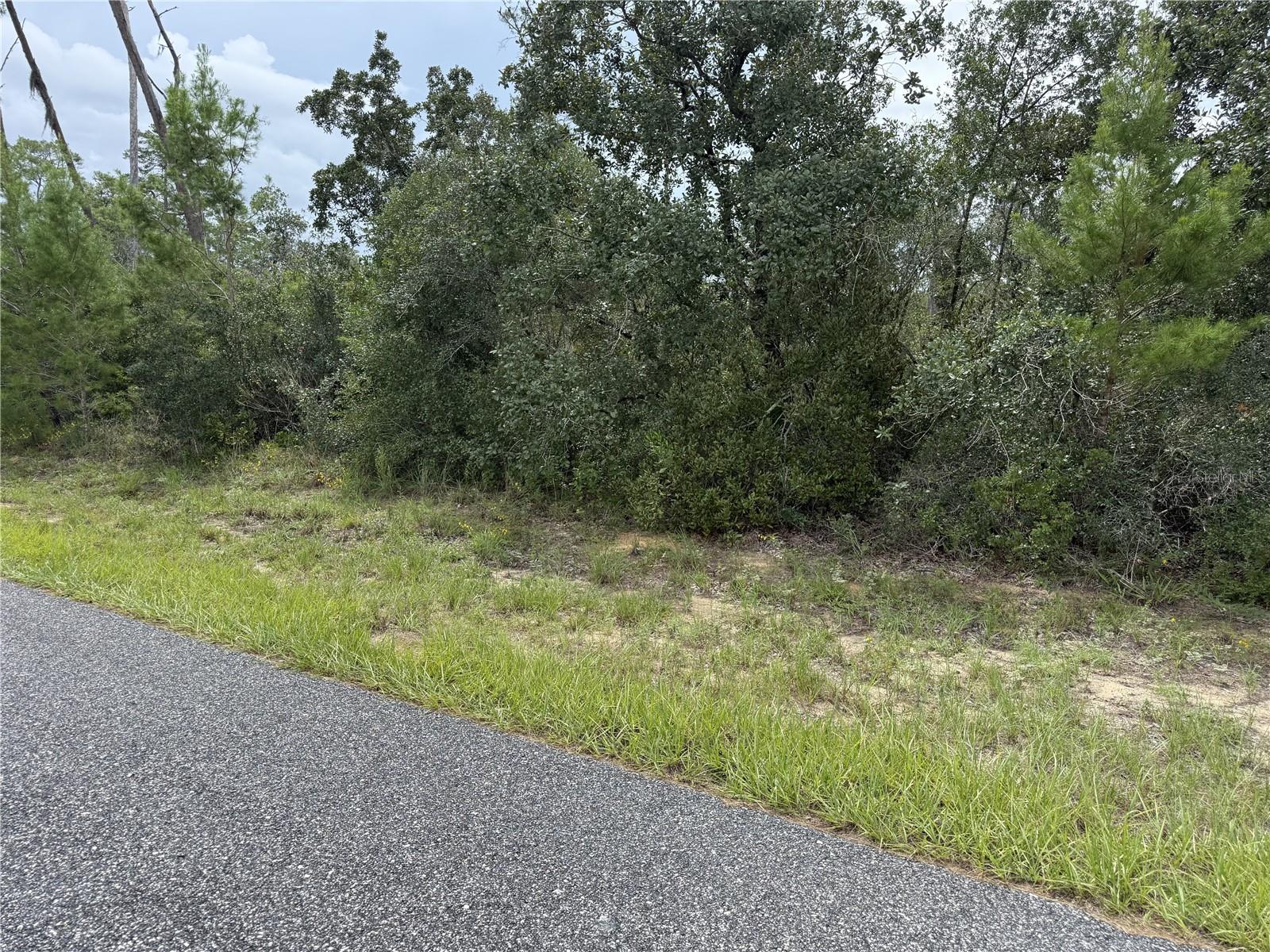 4282 W THRUSH DR photo 2