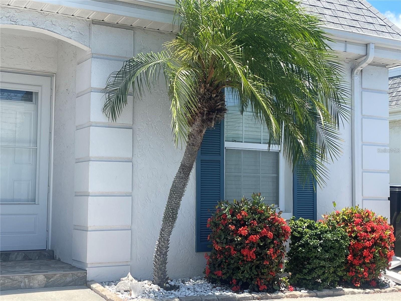 9819 HERNANDO CT #29-A photo 3
